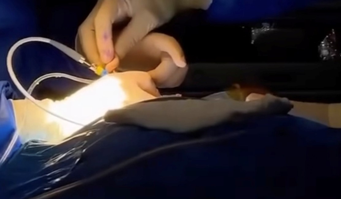 Screenshot 2026-01-02 192238