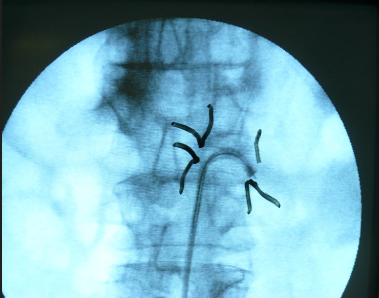 Screenshot 2026-01-02 193752